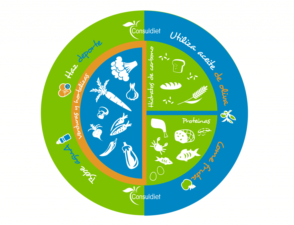 PLATO SALUDABLE CONSULDIET B